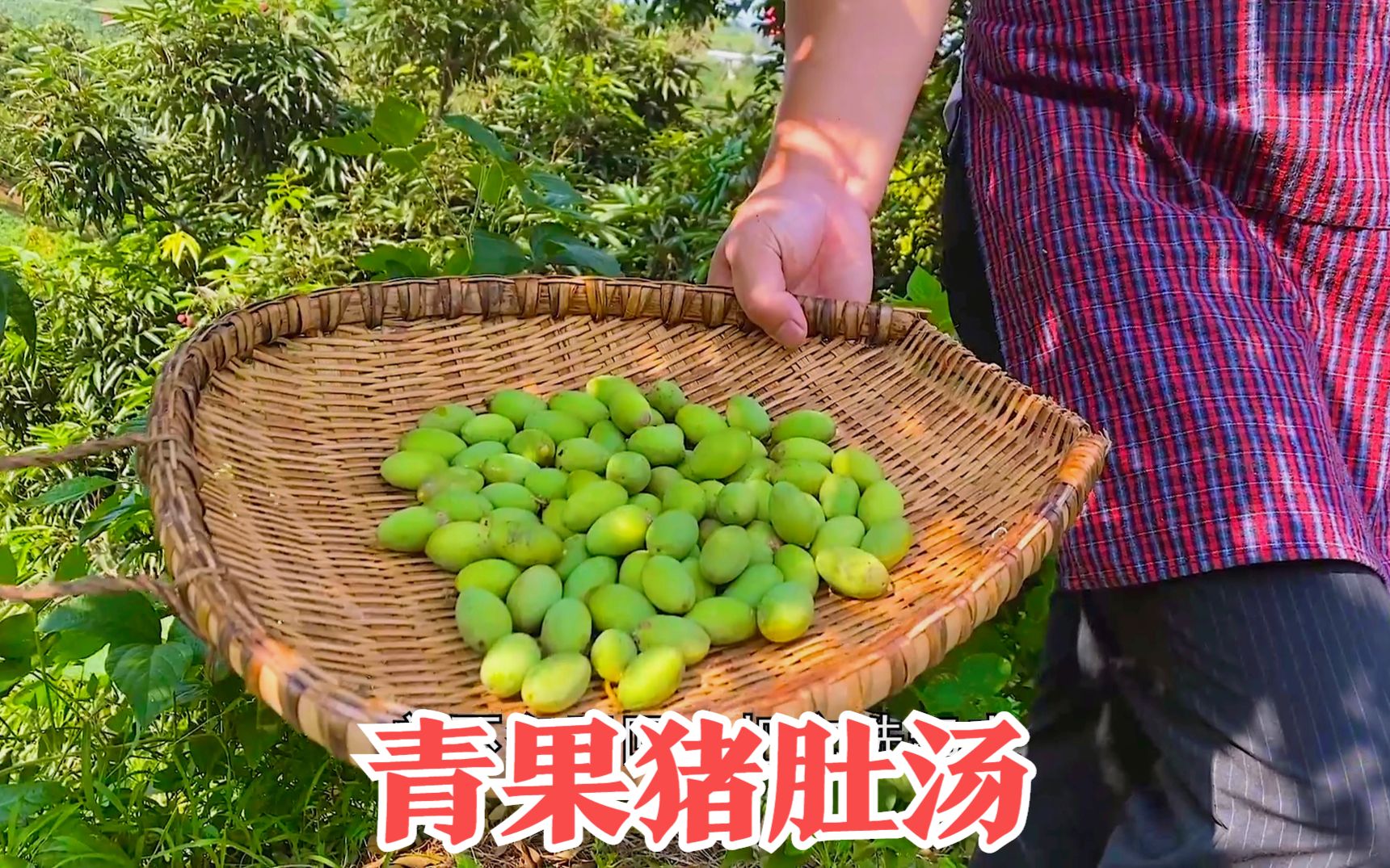 四川泸州:夏天来一锅青果(橄榄)炖猪肚,清热下火,老少都爱喝哔哩哔哩bilibili