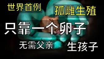 世界首例！仅靠一枚卵子生出健康小鼠！男性又又又不需要了？