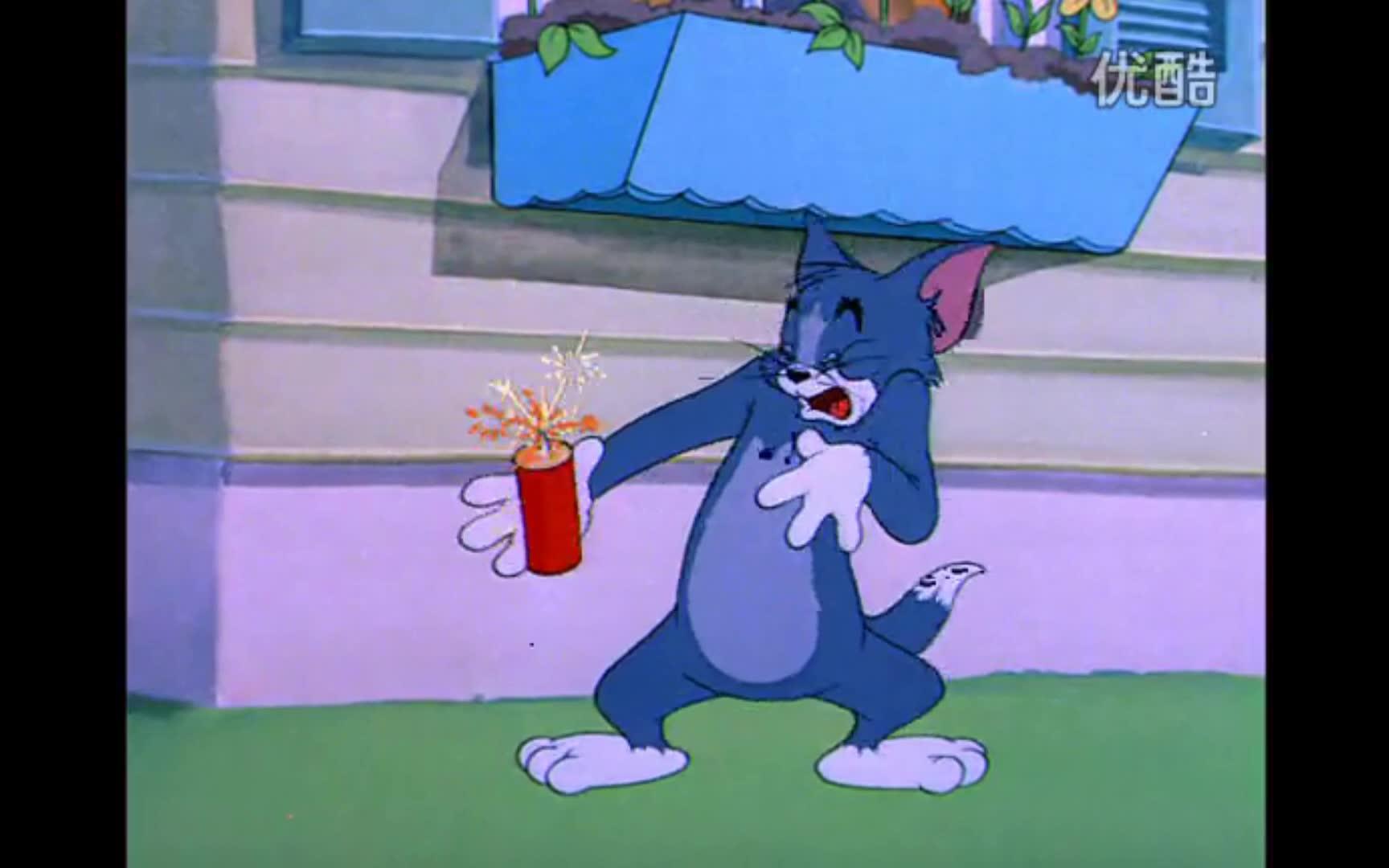 因股间强打跳起了新宝岛的汤姆