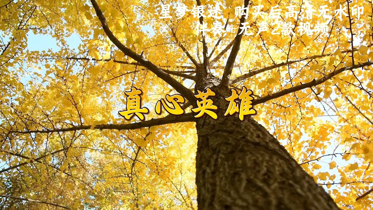 歌曲《真心英雄》伴奏配乐 mv节目演出节目舞台背景led大屏幕视频