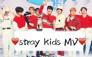 Скачать видео: 【路人 reaction stray kids】 欢迎新伙伴加入我们的阵营，也是非常不错的团体呢！