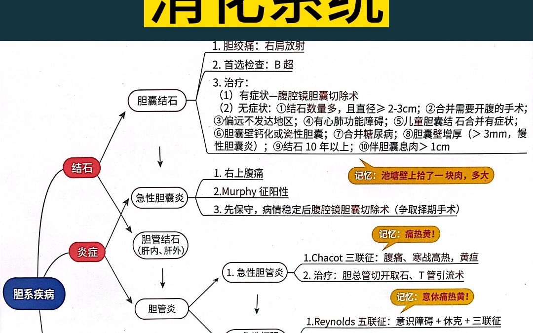 消化系统思维导图,2023年必考知识点#医考 #临床执业 #临床执业医师哔哩哔哩bilibili