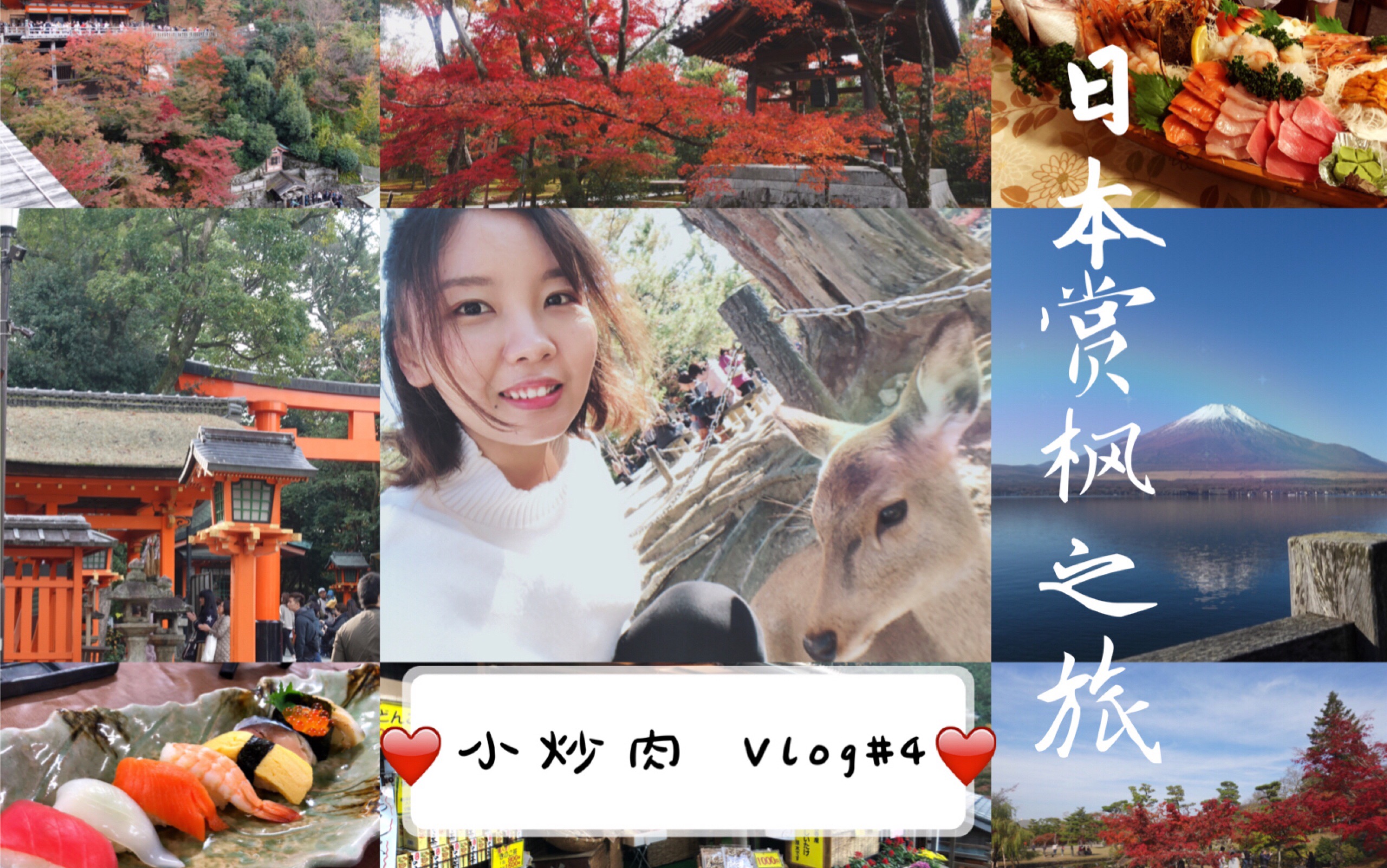 【小炒肉】Vlog#4——日本赏枫之旅 (feat吃喝玩乐)哔哩哔哩bilibili