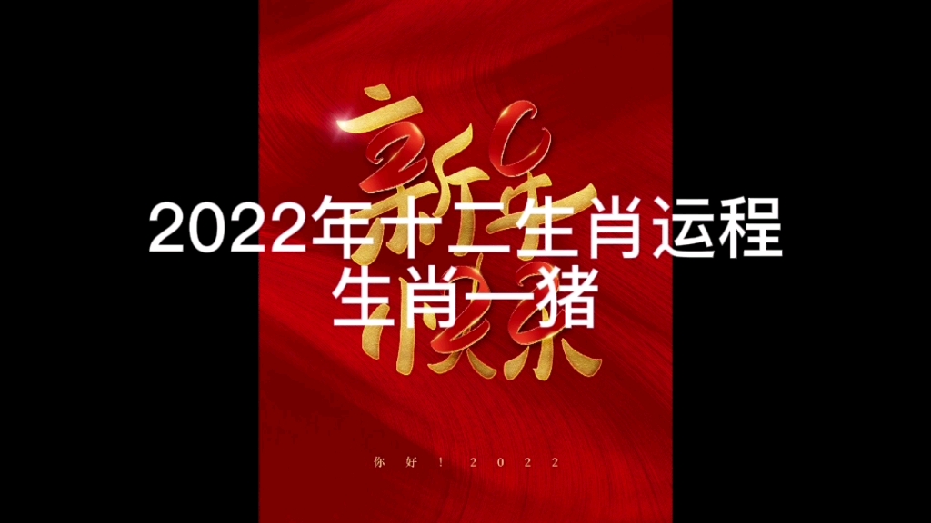 2022十二生肖运程—猪哔哩哔哩bilibili