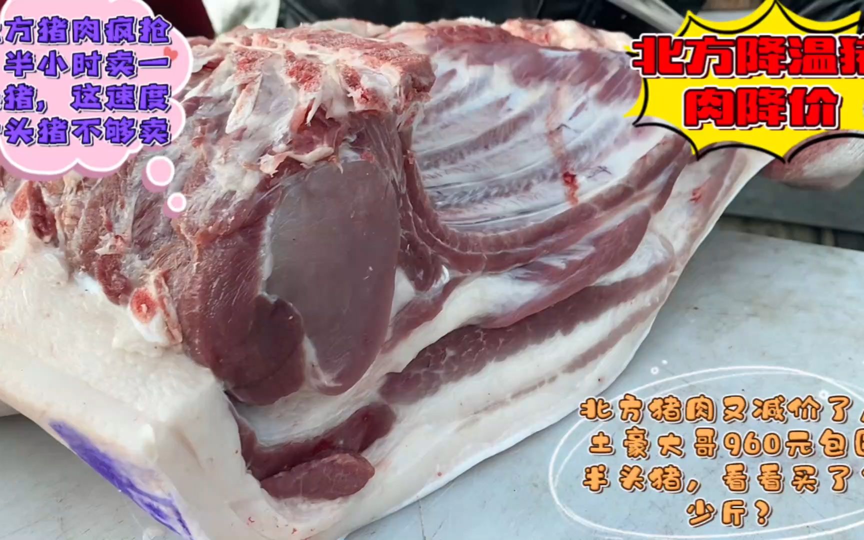 北方豬肉白菜價,400斤大肥豬土豪大哥960元包圓半頭豬,太便宜了