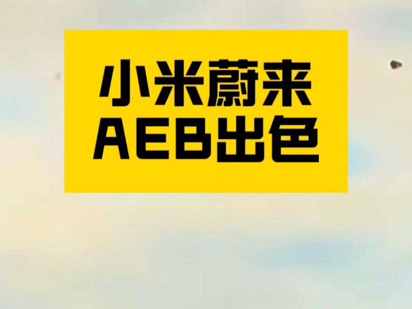 蔚来智驾屡建奇功,良心企业良心品质,这激光雷达不白给!#蔚来智驾 #每天一个用车知识 #蔚来es6 #带你懂车哔哩哔哩bilibili