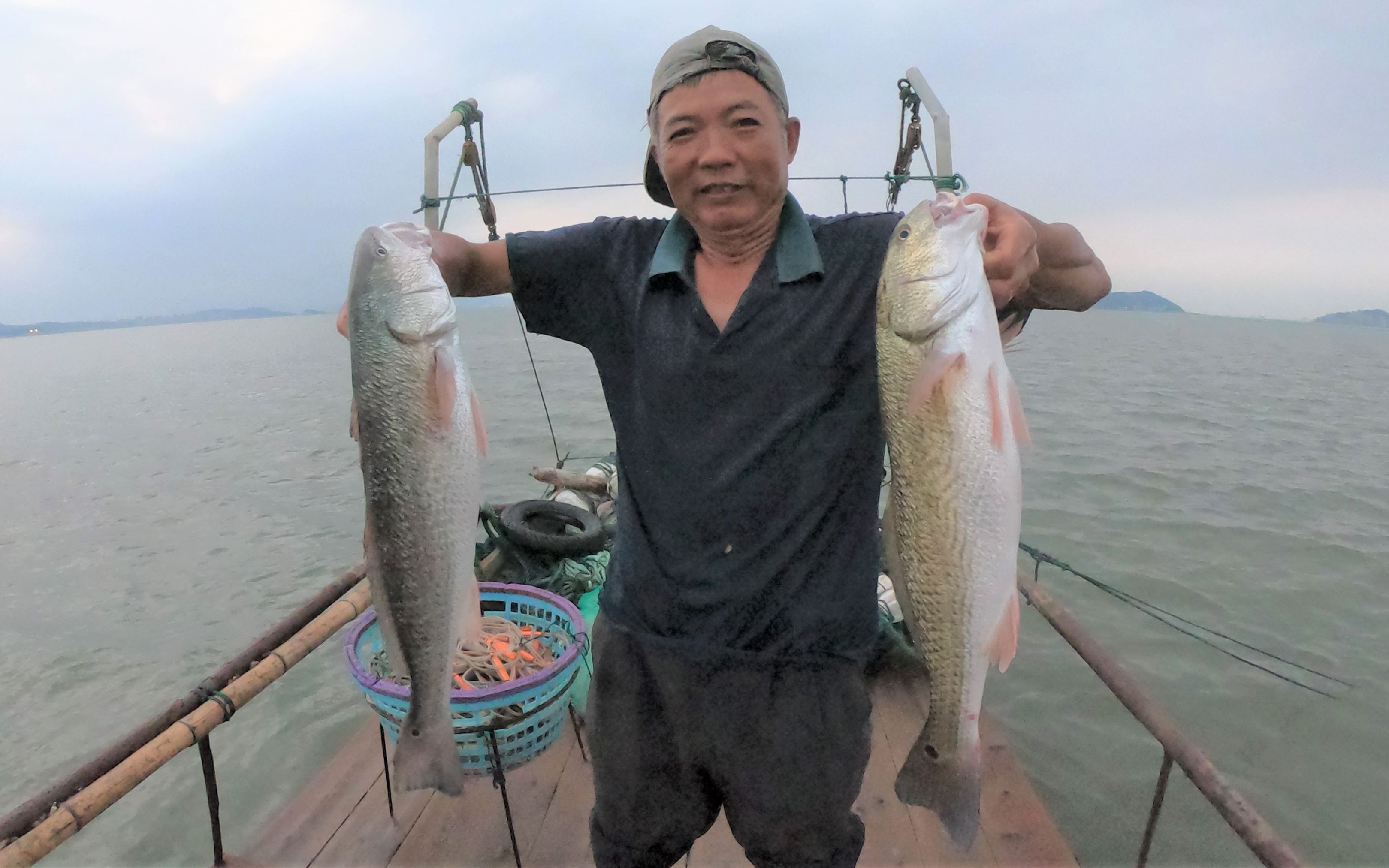 泰叔赶海收排钩大货接连上钩停不下来拉到天黑