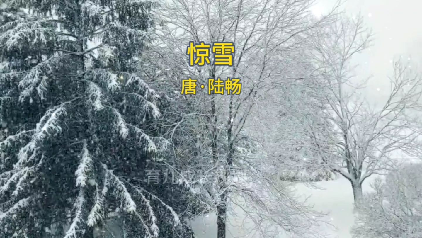 《惊雪》唐 陆畅
