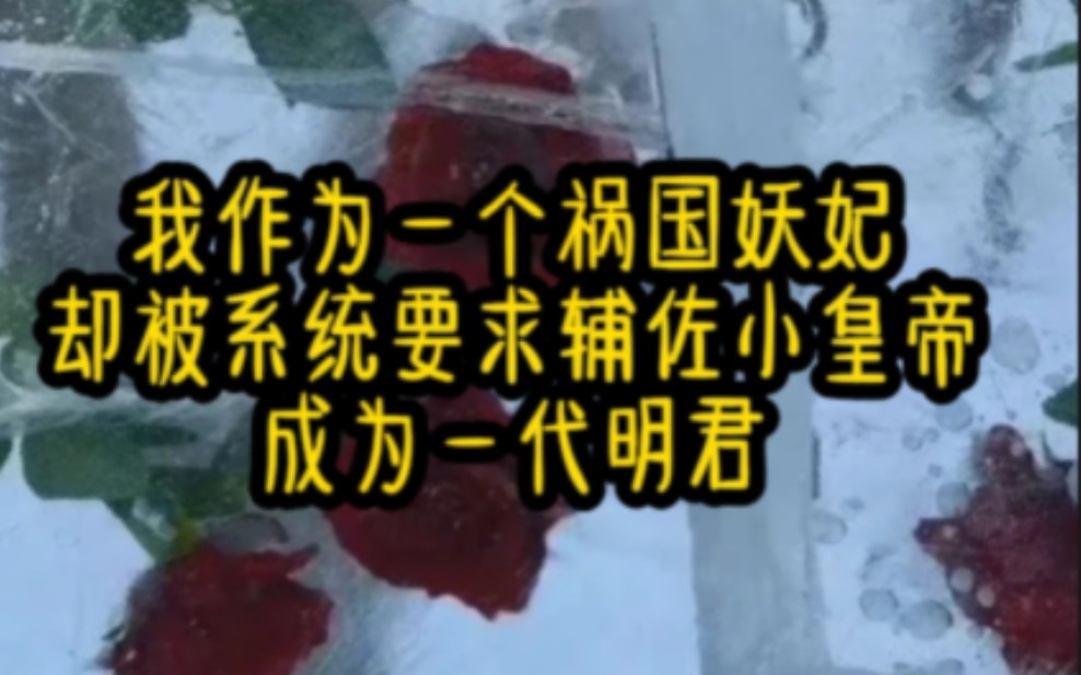 我作为一个祸国妖妃却被系统要求辅佐小皇帝成为一代明君哔哩哔哩bilibili