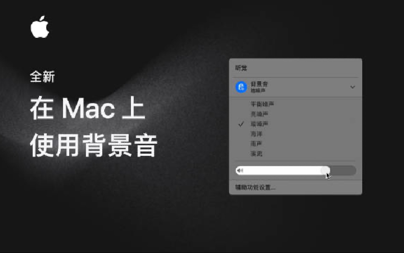 在 Mac 上使用背景音哔哩哔哩bilibili