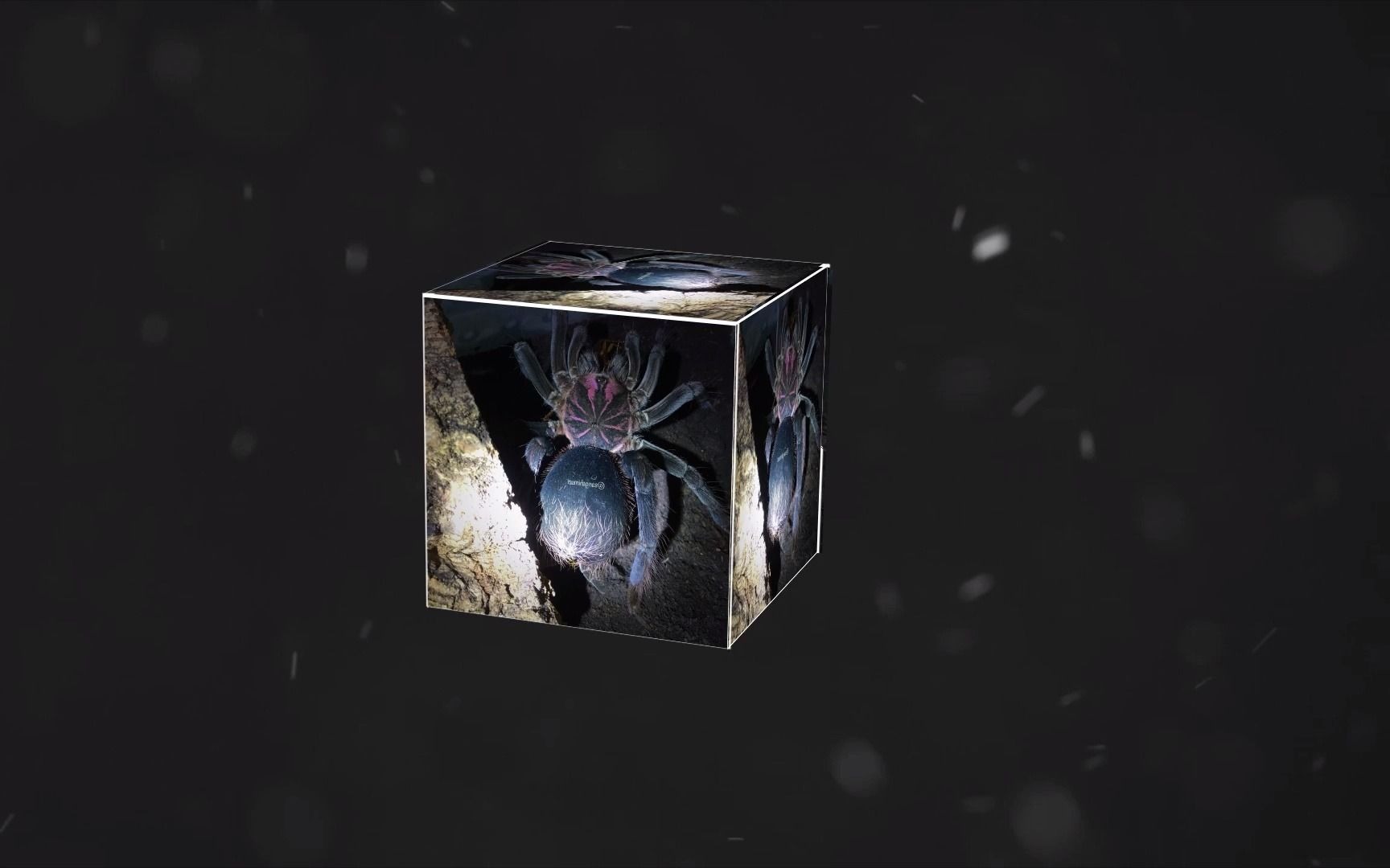 bright～x—明镭射_哔哩哔哩 (゜-゜)つロ 干杯~-bilibili