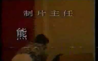 大盗艳遇1988 国产绝版老电视剧 老电影哔哩哔哩bilibili