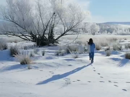 哈尔滨童话般的雪景,洁白的雪覆盖着每一寸土地,小木屋在雪中若隐若现,仿佛走进了冰雪奇缘的世界,体验雪地摩托的刺激,堆一个雪人,冬日的欢乐时...