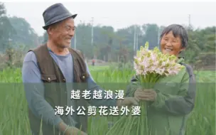 Tải video: 【海妈花园生活】越老越浪漫，海外公剪花送外婆