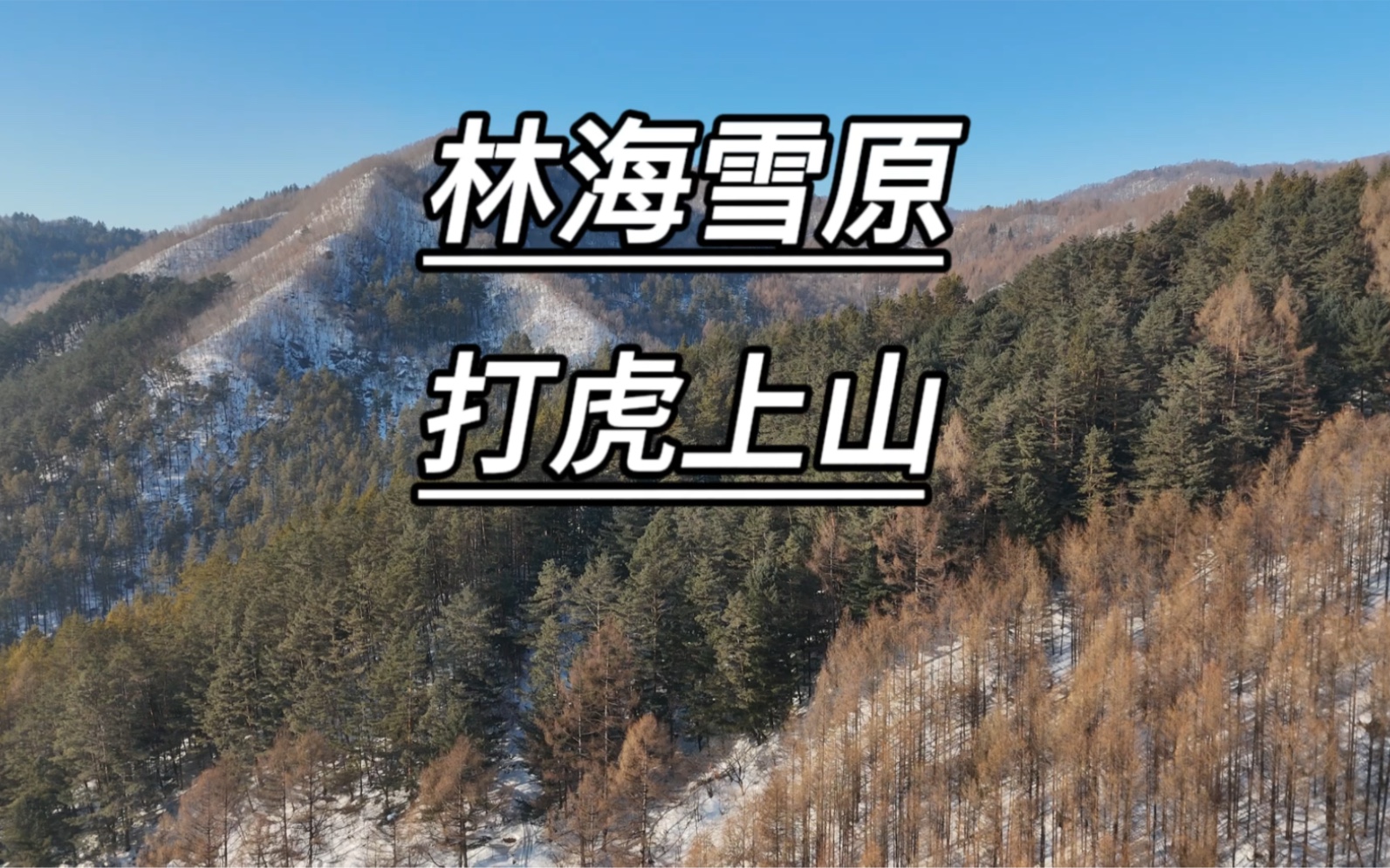 林海雪原-打虎上山#林海雪原 #打虎上山 #智取威虎山
