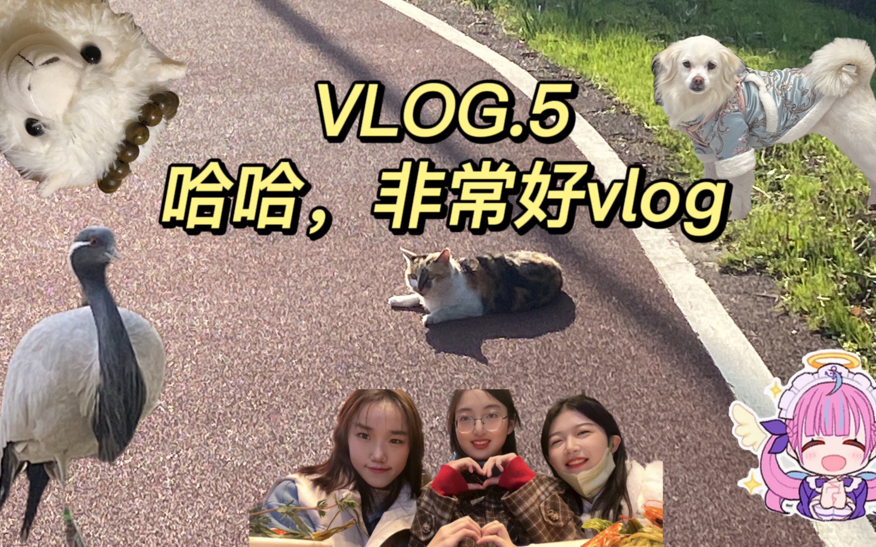 VLOG.5碎碎念之南昌人拍南昌vlog哔哩哔哩bilibili