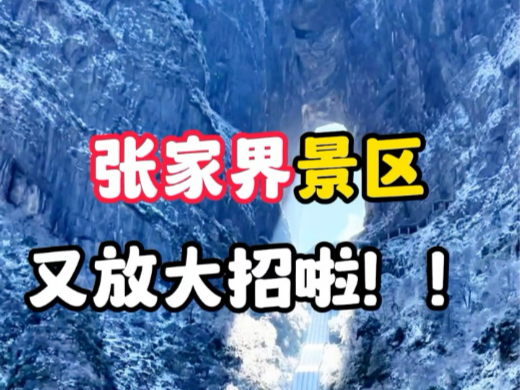 张家界又放大招了,从12月1号开始,张家界核心景区张家界森林公园执行3个月的淡季门票! #张家界自由行旅游攻略 #张家界 #张家界旅行哔哩哔哩bilibili