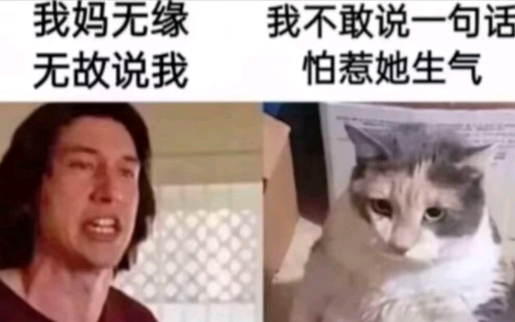 人间真实沙雕梗图