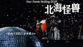 4K自摄丨新裤子2025北海怪兽北京工人体育场演唱会全场舞台记录