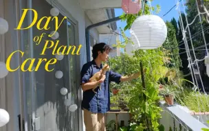 Скачать видео: Benji养护植物悠闲的一天，阳台看起来真的好舒服啊| Laid-Back Plant Care  balcony garden, care tips