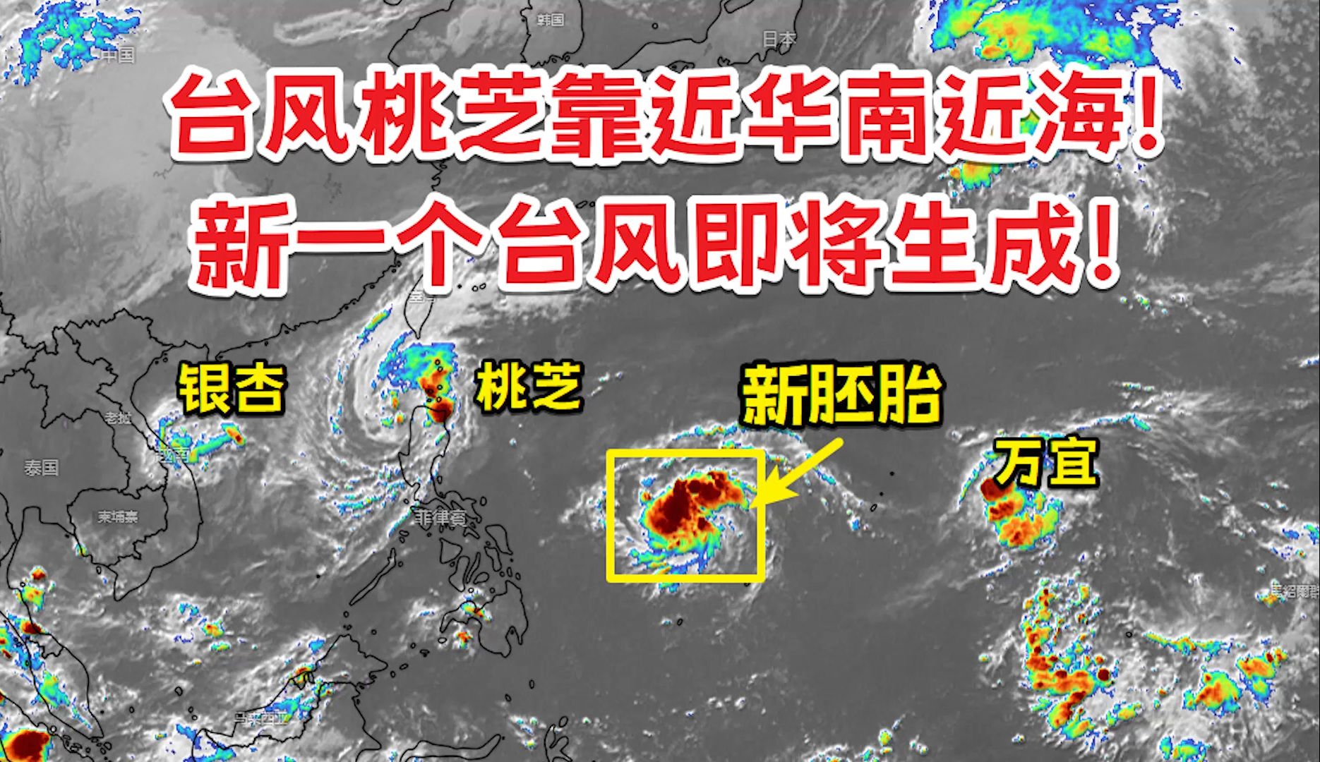 台风桃芝来袭!新台风又要来了?哔哩哔哩bilibili