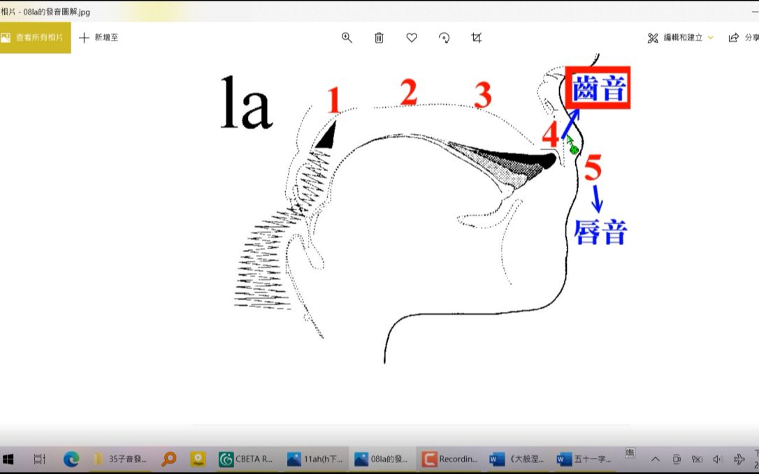 梵语字母发音教学 图解 果滨制作哔哩哔哩bilibili