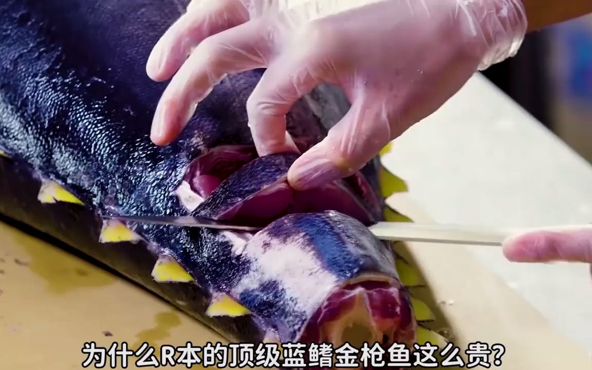 为什么日本的顶级蓝鳍金枪鱼这么贵?
