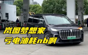 Download Video: 【集车】岚图梦想家亏电油耗实测结果很NB