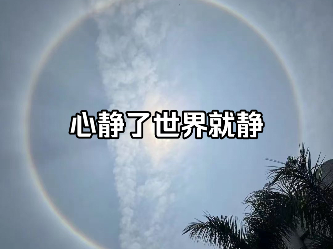 心静了世界就静哔哩哔哩bilibili