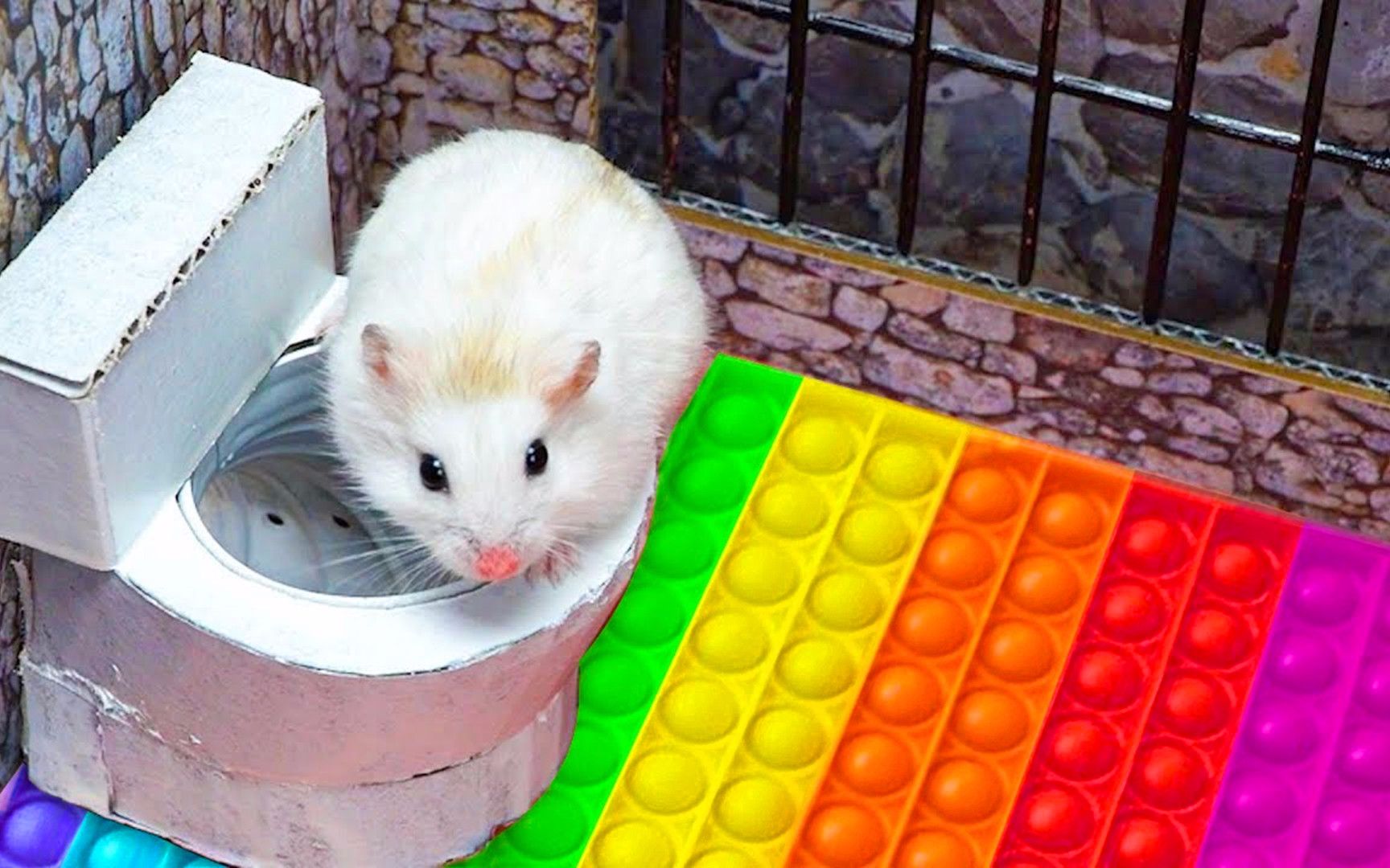 小仓鼠挑战赛:第12届密室逃脱赛,小仓鼠挑战彩虹泡泡板!