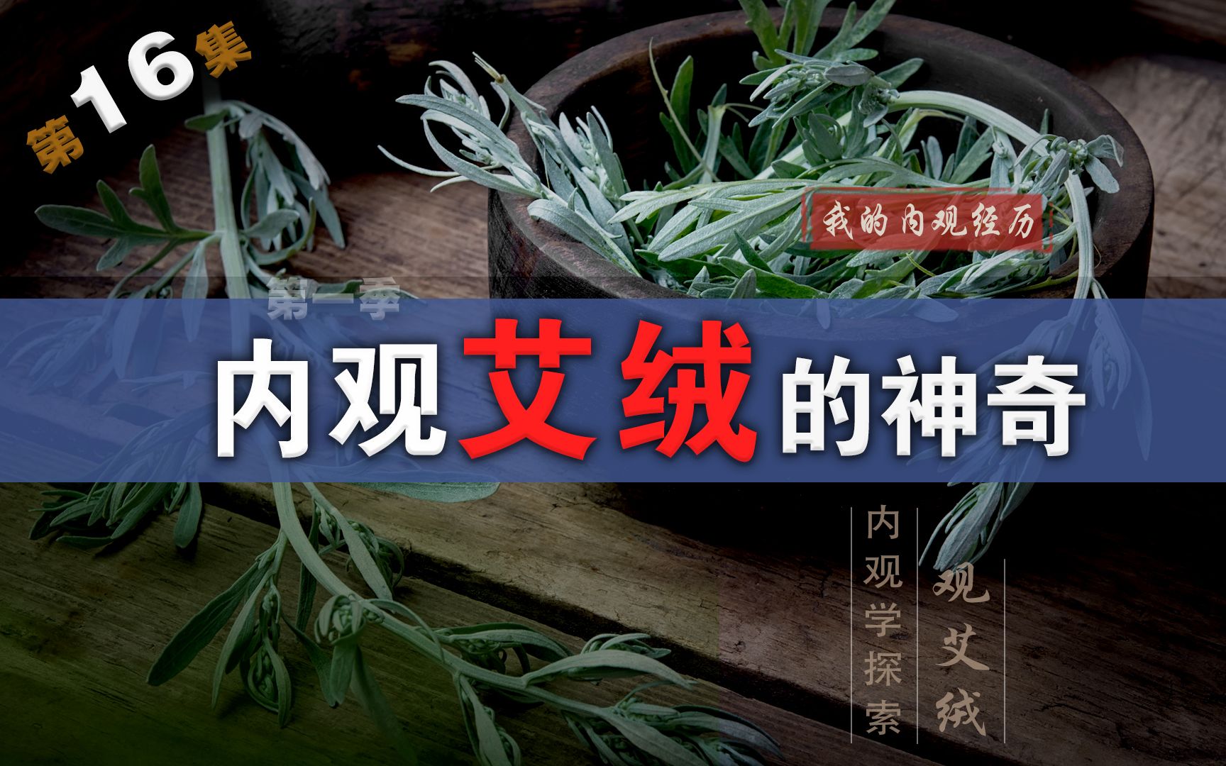 [图]内观神奇的艾绒治好腹泻《我的内观经历》第16集 艾灸太极武术柔道内证观察中医药大学内经针灸呼吸法门经络五行把脉传承的东方科学