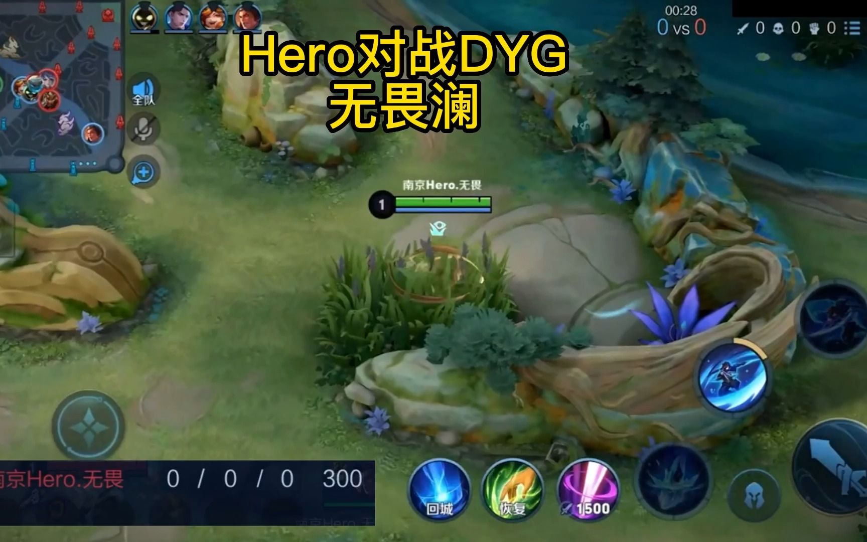 南京Hero无畏澜职业打野野核教学HERO对战DYG