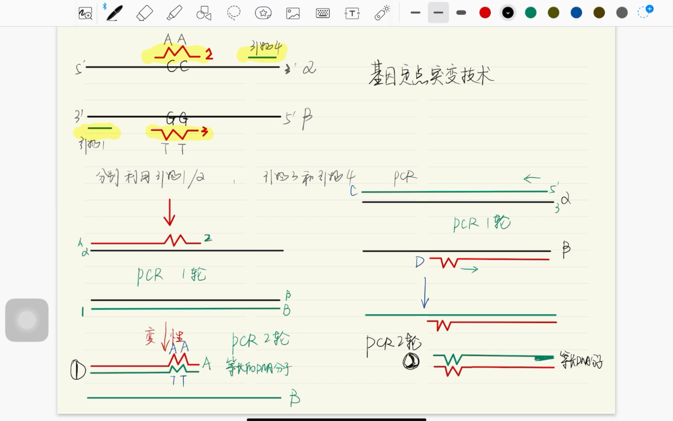 基因定点突变技术的详解哔哩哔哩bilibili