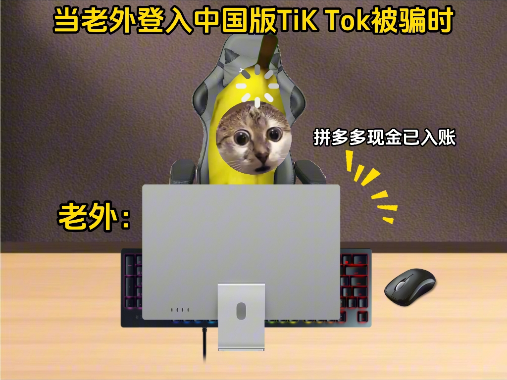 当老外登入中国版的TikTok被骗时-猫meme往事剧场-猫meme往事剧场-哔哩哔哩视频