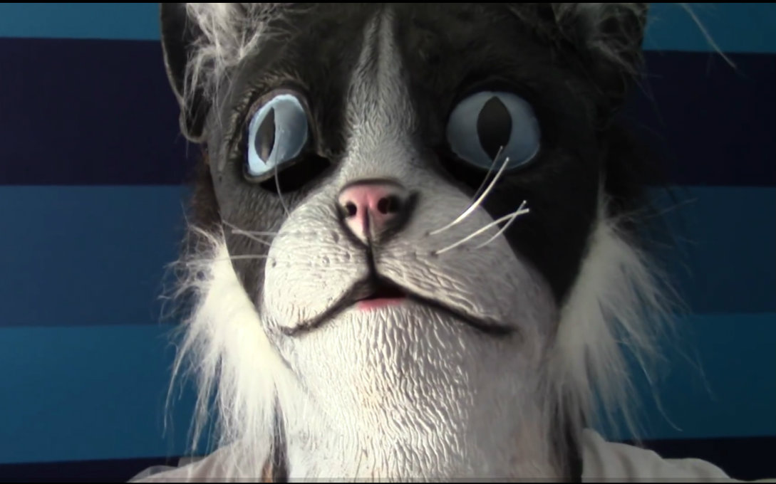 【猫片】戴上面具的猫爹喂食失败!