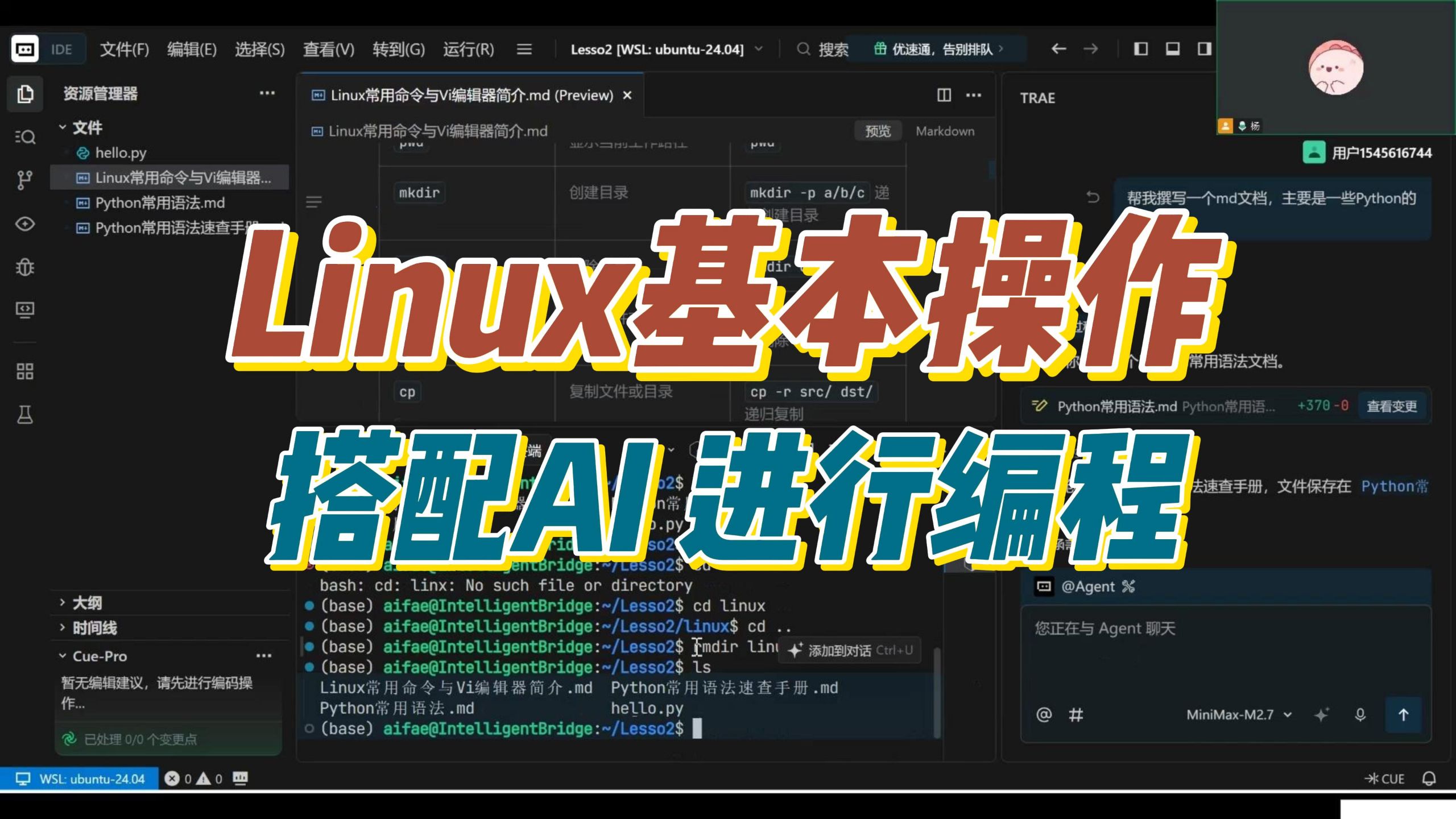 Linux基本操作简介及如何搭配AI进行编程
