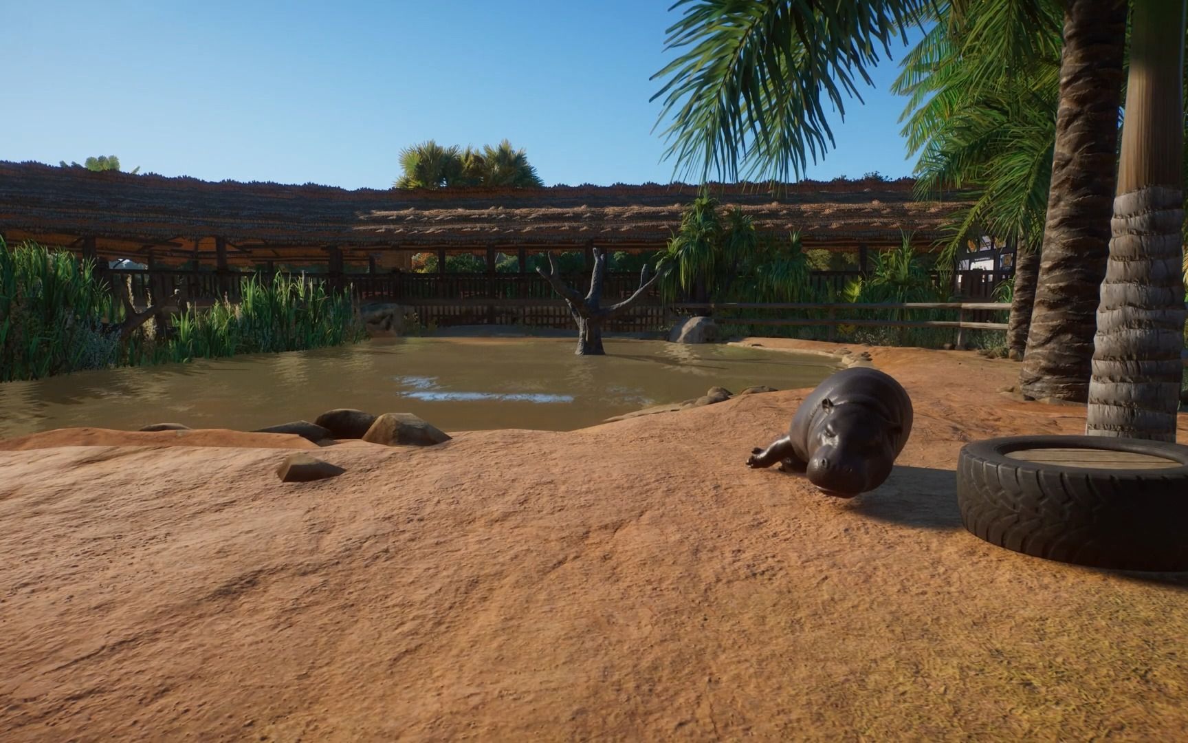 动物园之星 倭河马园区 油管大神建造