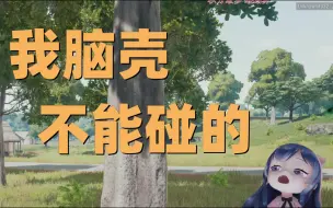 小团团：“我脑壳上有开关！”