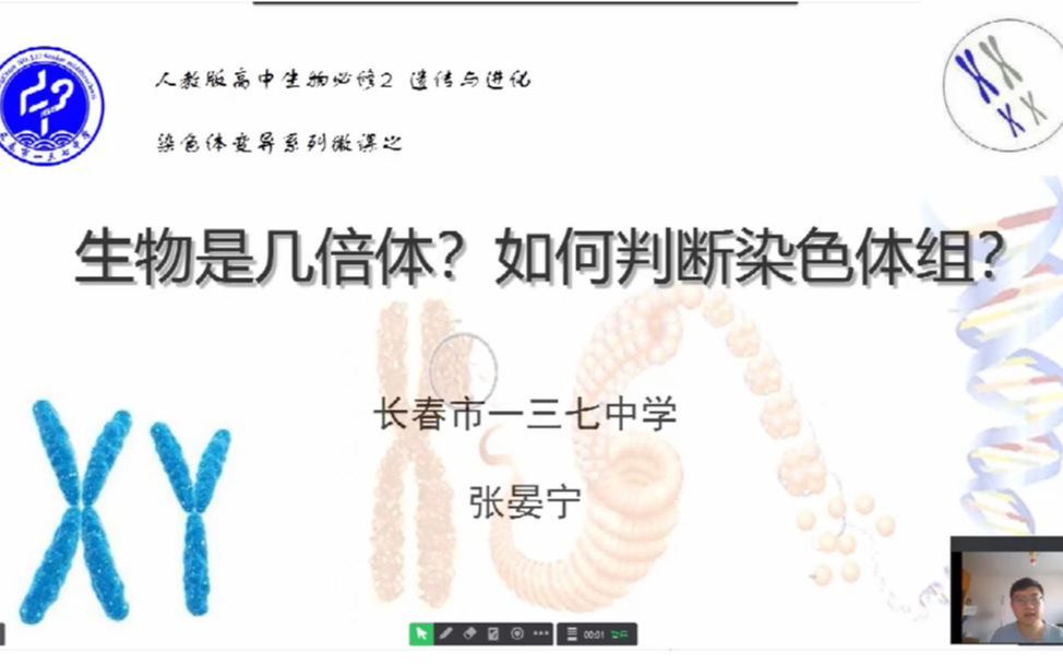 如何判断生物是几倍体?哔哩哔哩bilibili