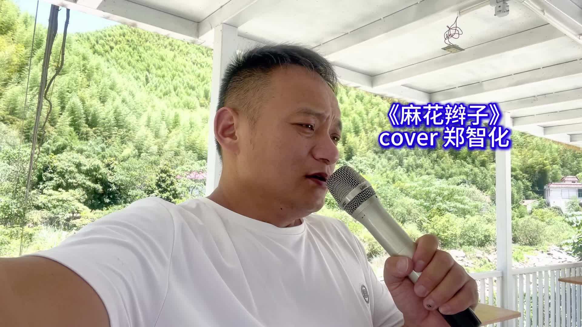 一代人的回忆#郑智化麻花辫子