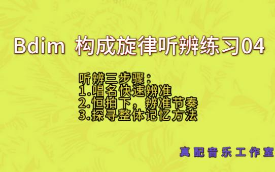 bdim和弦构成旋律听辨练习04