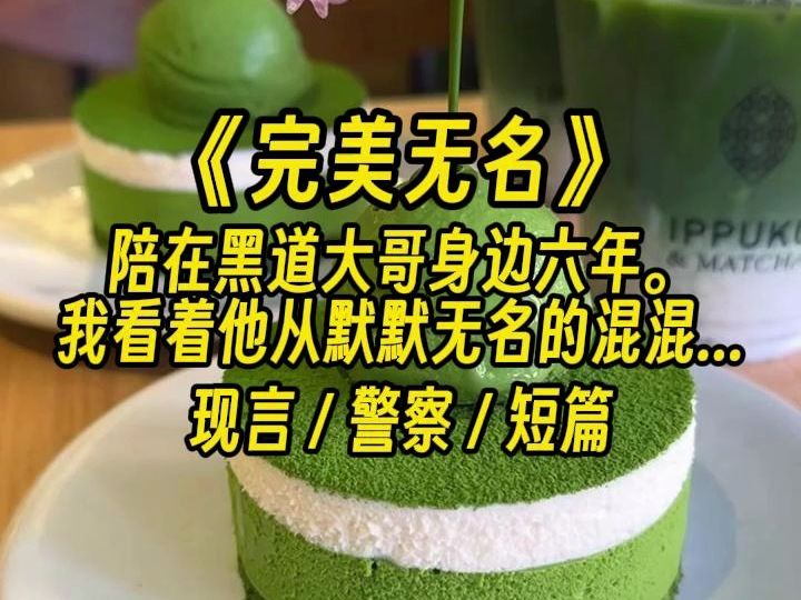 《完美无名》~小说推荐哔哩哔哩bilibili