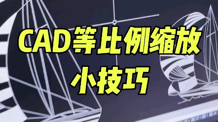 你要的CAD缩放技巧来了!~!~哔哩哔哩bilibili