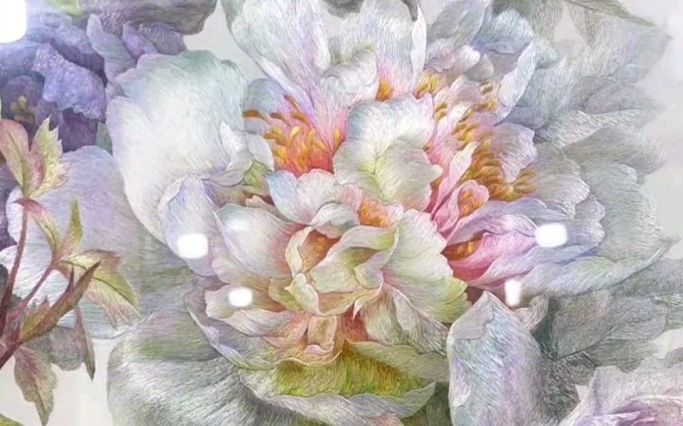 [ 单面绣 ] 苏绣繁花似景,虚实乱针绣牡丹花