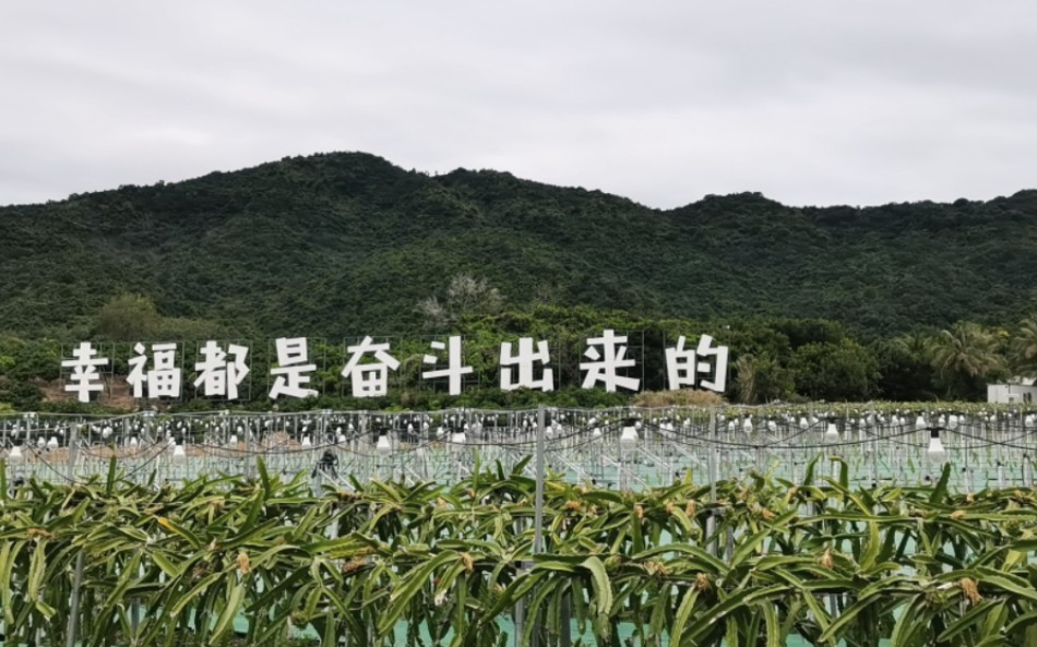 骑行三亚周末休闲游,远洋大茅村哔哩哔哩bilibili