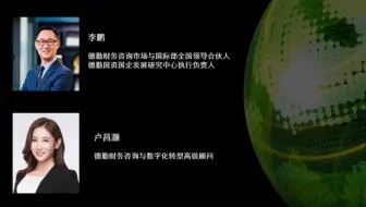 大型央企资本运作案例分享