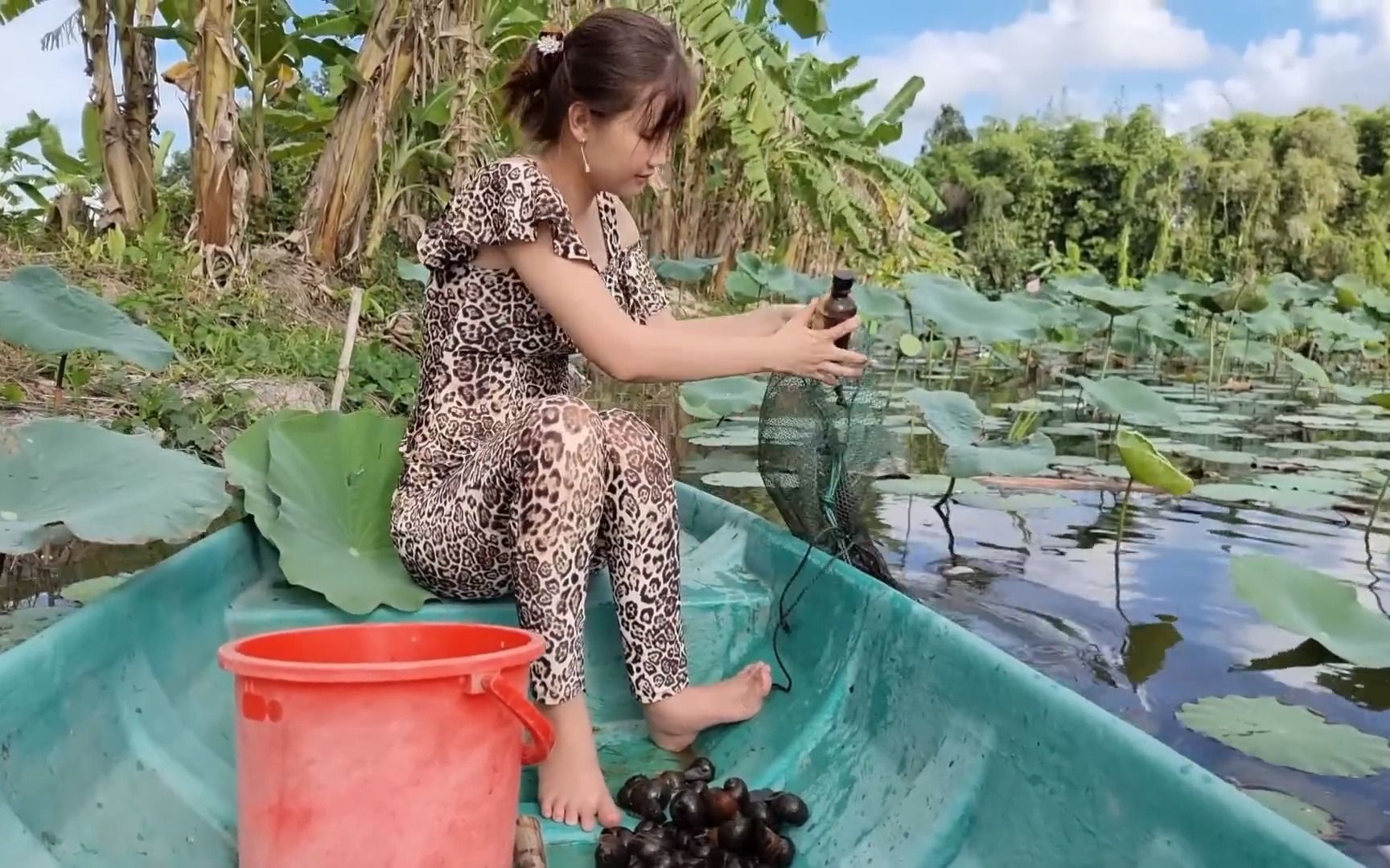 越南美女阿梅来荷花田里捉鱼,捞上来一笼田螺_哔哩哔哩_bilibili