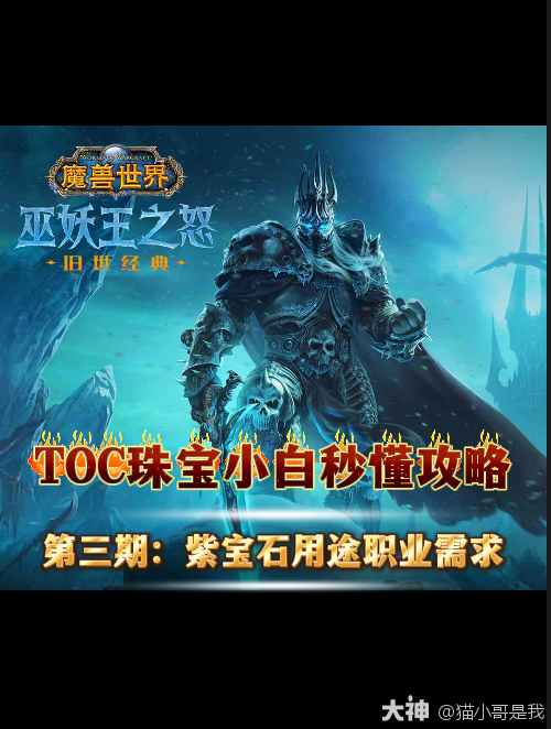 TOC珠宝紫宝石小白攻略第三期:宝石用途以及职业需求基础不懂的可以看下前两期攻略 宝石消耗可持续至大灾变 需求只有多少,没有无需求这么一说 #魔...