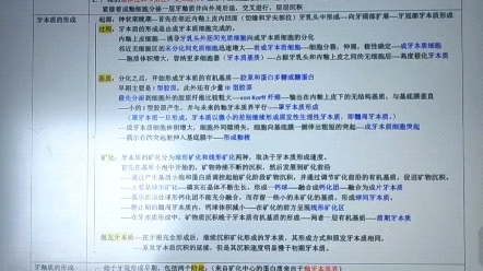 口病第二章2节牙体组织的形成哔哩哔哩bilibili