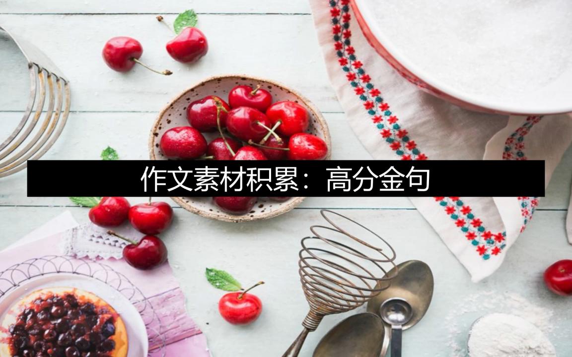 作文素材积累:高分金句哔哩哔哩bilibili